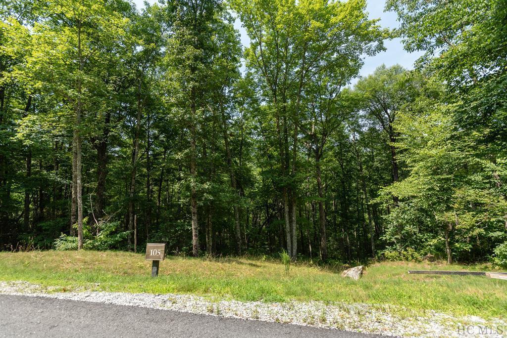 Photo of home for sale at Lot 105 Crippled Oak Trail, Glenville NC