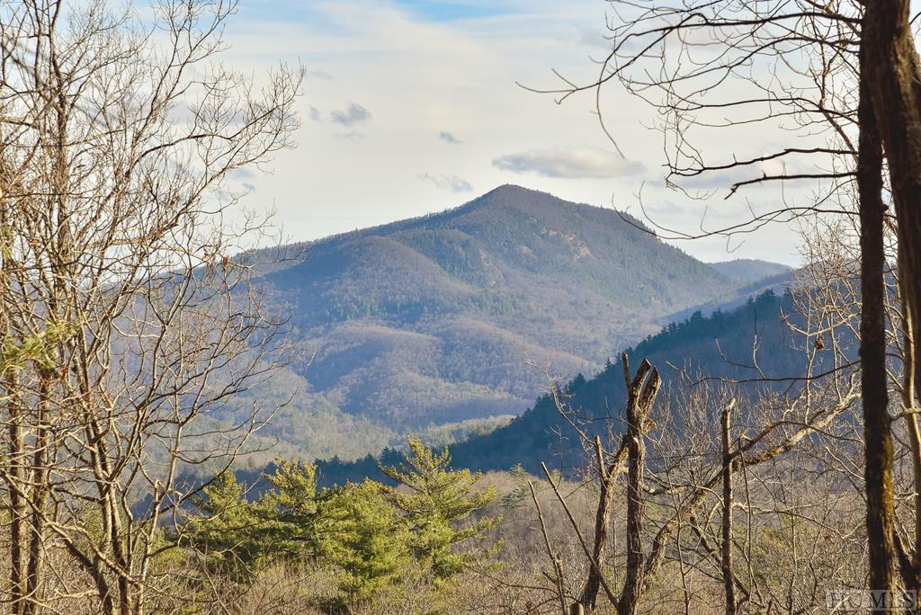 Photo of home for sale at Lot 16 Wildcat Lane, Cashiers NC